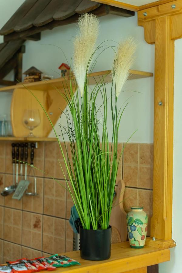 Heart Of Zemun Apartman Belgrád Kültér fotó